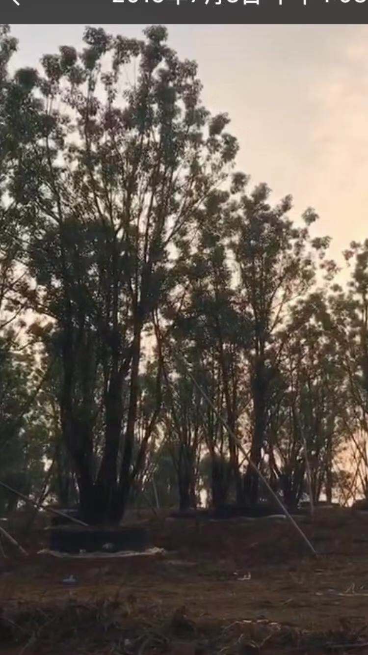 ayx官方网站