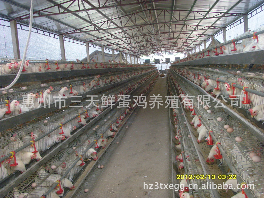 ayx官方网站