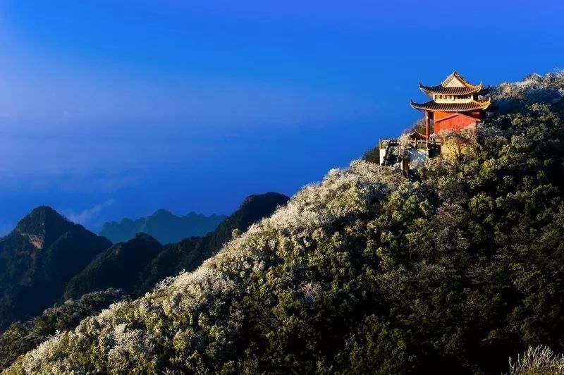 我县召开全县经济运行分析会【ayx官方网站】(图1) ayx官网