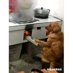 亚预赛国足0-0平沙特末轮将与伊拉克生死战_爱游戏(ayx)中国官方网站(图1) ayx官网