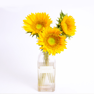 爱游戏（ayx）中国官方网站