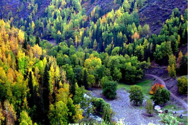 怀恩豪斯当街抽大麻_爱游戏(ayx)中国官方网站(图3) ayx官网