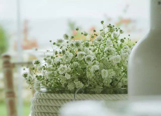 “爱游戏(ayx)中国官方网站”县离退休干部参观考察经济社会发展情况(图1) ayx官方网站