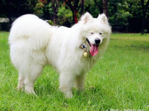 爱游戏（ayx）中国官方网站