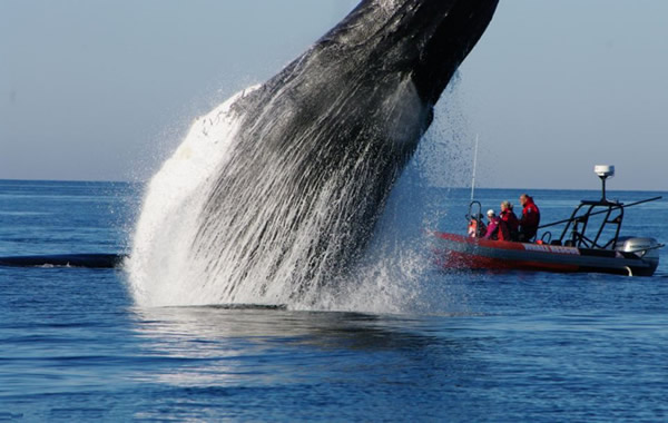 爱游戏（ayx）中国官方网站