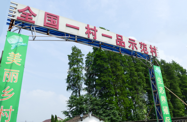 ayx官网_
40岁的乐基儿贵妇范十足 棒球服搭配印花连衣裙 气质真是绝了!(图3) ayx官网