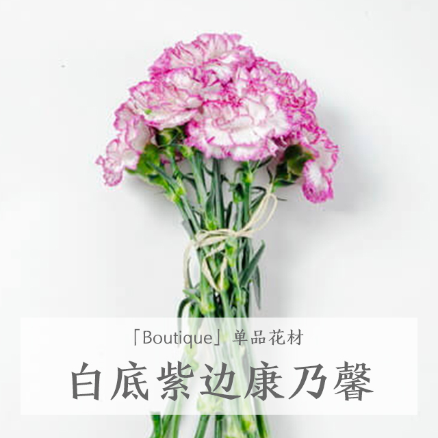 SuperJunior利特合流《偶像运动会》MC 搭档全炫茂孙妍在_ayx官网(图1) 爱游戏(ayx)中国官方网站