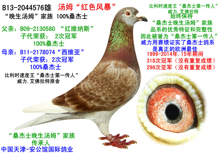 爱游戏(ayx)中国官方网站:共青团花山瑶族乡第十次代表大会胜利召开(图2) ayx官网