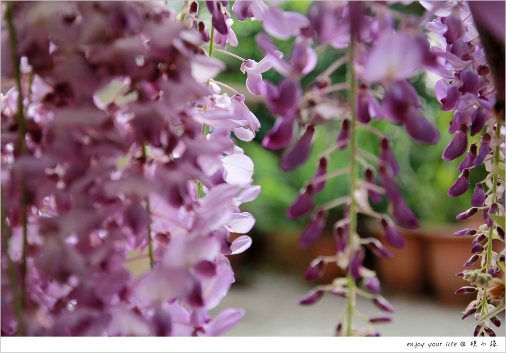 中央机关公然遴选和公然选调公务员啦!附职位表:ayx官网(图3) ayx官网