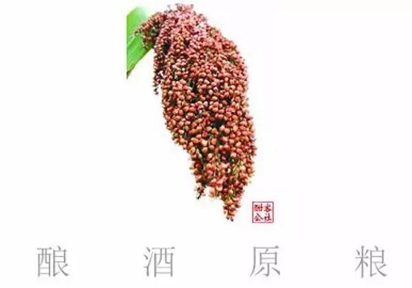 ayx官网_国足队史首次不胜柬埔寨 范志毅4年前预言恐成真(图2) ayx官方网站