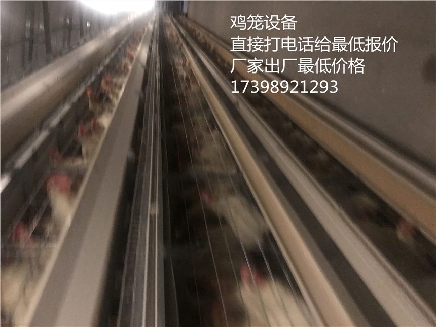 《Remember》刷新自身收视率18.1%夺得冠军 大结局引人期待-ayx官网(图2) 爱游戏(ayx)中国官方网站