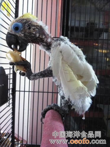 爱游戏（ayx）中国官方网站