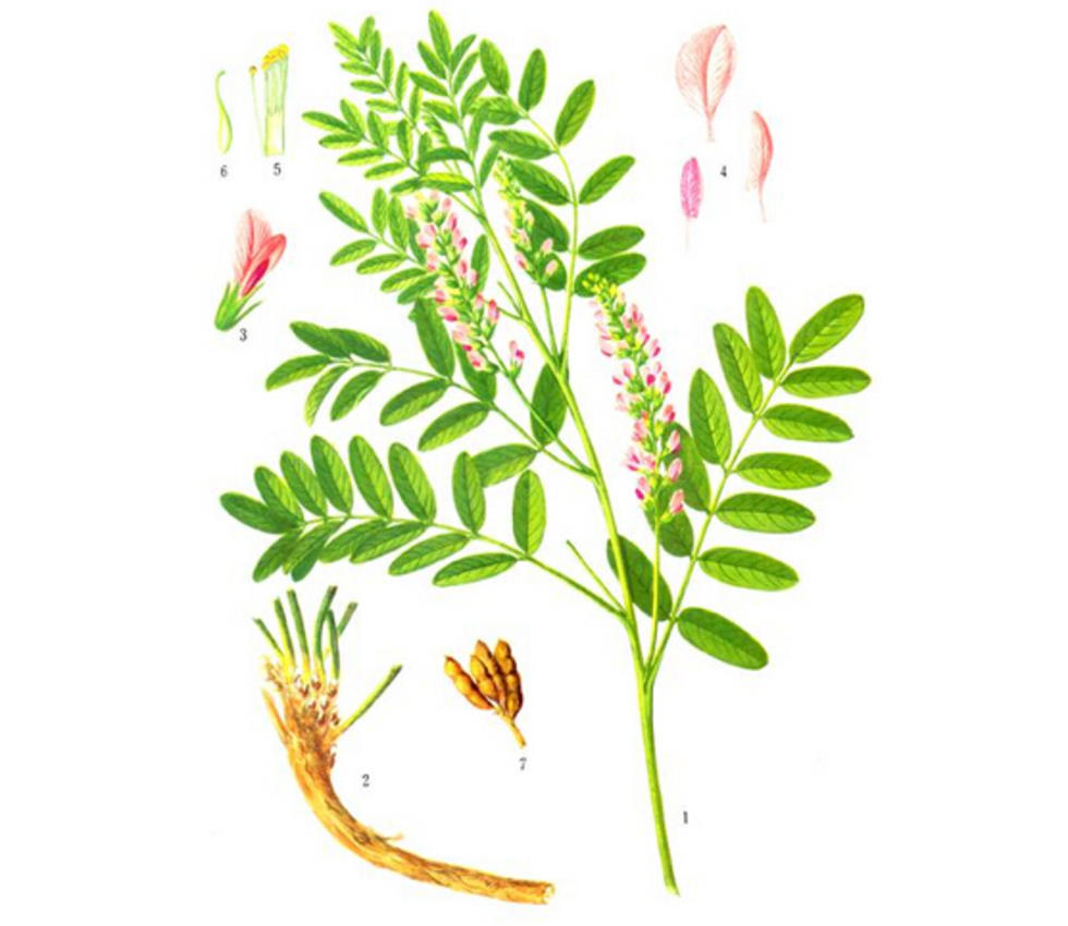 ayx官网:
赛事速递(图4) ayx官方网站