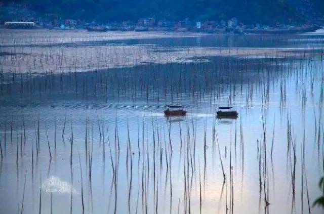 听党话,跟党走“党史国史进校园”活动:爱游戏(ayx)中国官方网站(图1) 爱游戏(ayx)中国官方网站