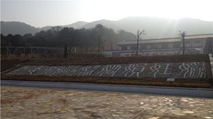 红花镇卫生院到红花镇中心小学开展健康体检活动,共同护航孩子们的健康成长-爱游戏(ayx)中国官方网站(图3) ayx官方网站