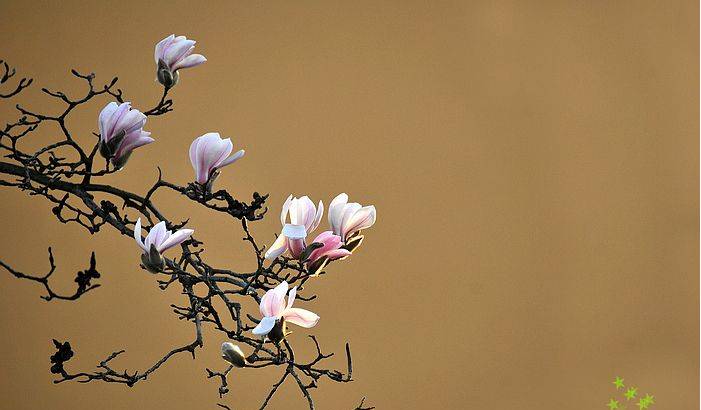 爱游戏（ayx）中国官方网站