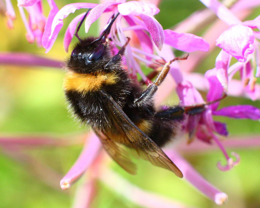 爱游戏（ayx）中国官方网站