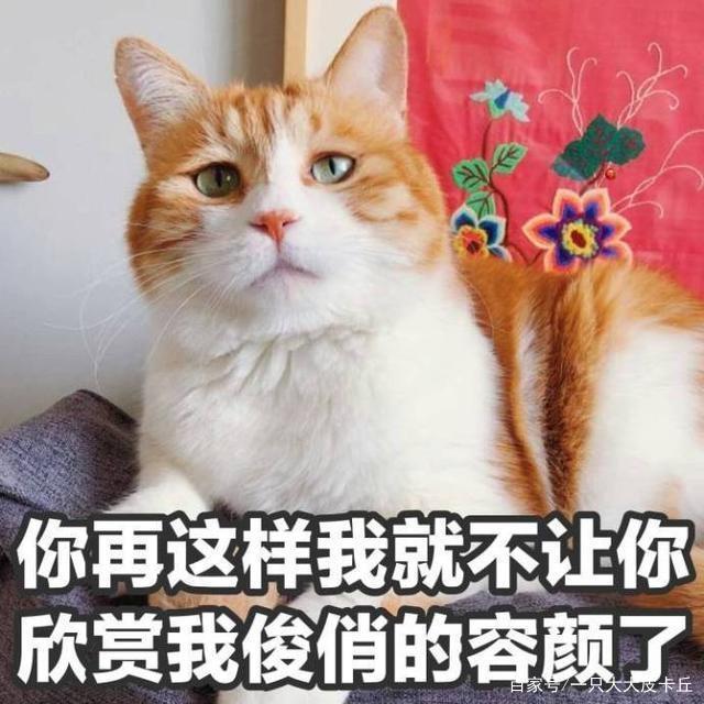 女足世界杯-24强7日抽签中国求避死亡之组_ayx官方网站(图1) 爱游戏(ayx)中国官方网站