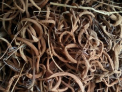 爱游戏（ayx）中国官方网站