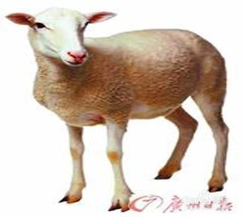 爱游戏（ayx）中国官方网站