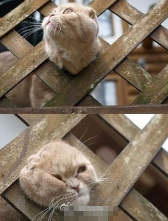 爱游戏（ayx）中国官方网站