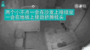 ayx官网:
跟曾国藩学公牍:中堂大人的公牍写作模板(图1) ayx官方网站